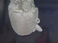 Nasser Shademan w Klinice Vivadental